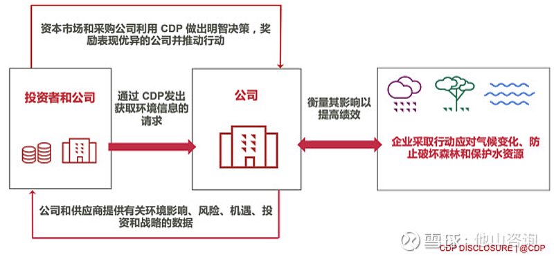 碳管理云平台：构建绿色未来的桥梁